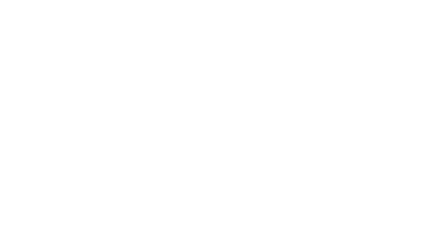 Back, Neck & Spine Team Logo
